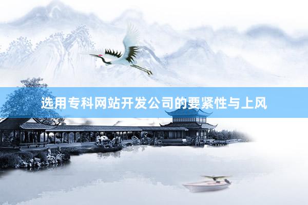 选用专科网站开发公司的要紧性与上风