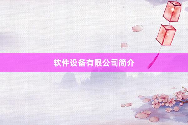 软件设备有限公司简介
