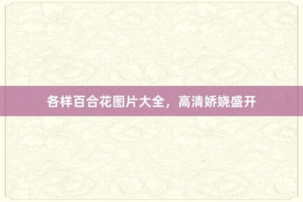 各样百合花图片大全，高清娇娆盛开